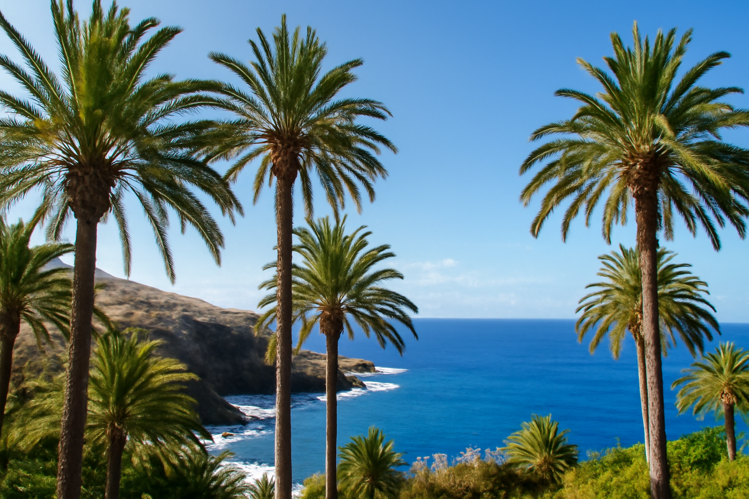Sonniger Küstenblick auf Teneriffa mit Palmen und Ozean.